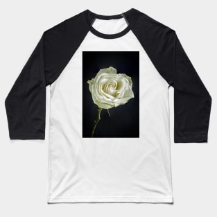 Single White Rose with Raindrops and Black Background Baseball T-Shirt